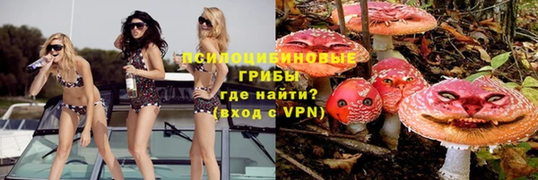 не бодяженный Переславль-Залесский