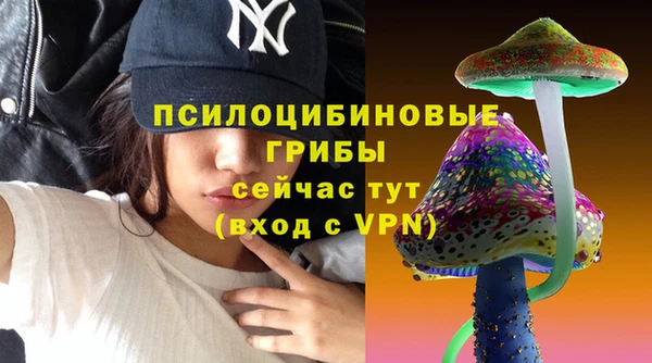 молекула духа Осинники