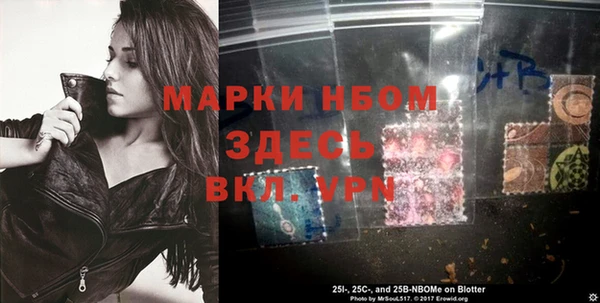 соль ск Пестово