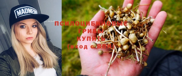 ешки Пересвет