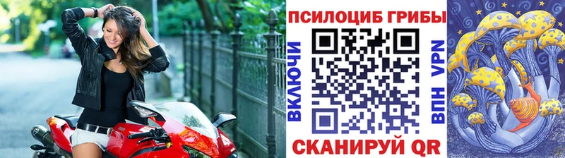 Псилоцибиновые грибы Psilocybe  Новое Девяткино 